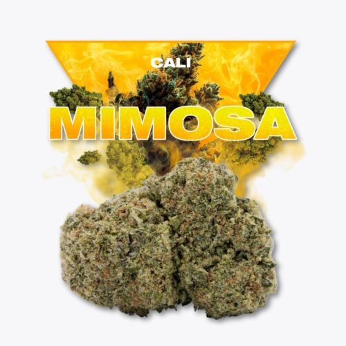 Fleur CBD Cali Mimosa Golden CBD Fleur CBD Cali Mimosa Golden CBD
