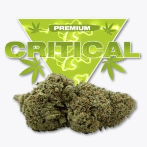 Fleur CBD Critical Golden CBD