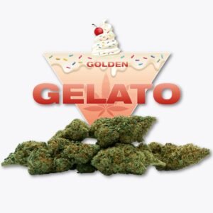 Fleur CBD Gelato Kush Golden CBD