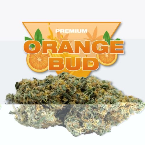 Fleur CBD Orange Bud Golden CBD